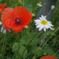 Projekttage 2014: Fotografie