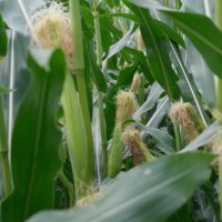 Projekttage 2014: Fotografie