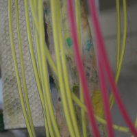 Projekttage 2014: Fotografie