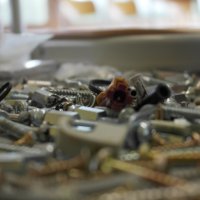 Projekttage 2014: Fotografie