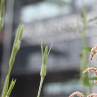 Projekttage 2014: Fotografie