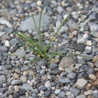 Projekttage 2014: Fotografie