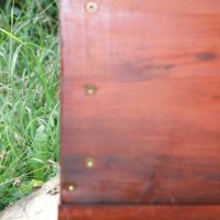 Projekttage 2014: Fotografie