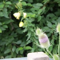 Projekttage 2014: Fotografie