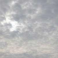 Projekttage 2014: Fotografie