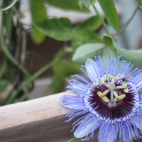 Projekttage 2014: Fotografie