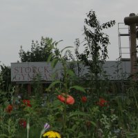 Projekttage 2014: Fotografie