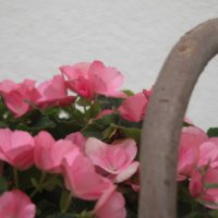 Projekttage 2014: Fotografie