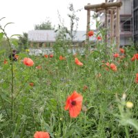 Projekttage 2014: Fotografie