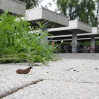 Projekttage 2014: Fotografie