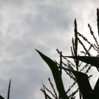 Projekttage 2014: Fotografie