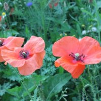 Projekttage 2014: Fotografie