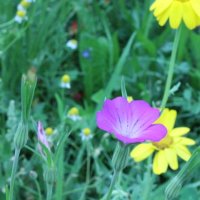 Projekttage 2014: Fotografie