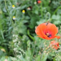 Projekttage 2014: Fotografie