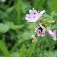 Projekttage 2014: Fotografie