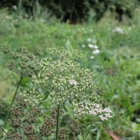 Projekttage 2014: Fotografie