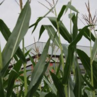 Projekttage 2014: Fotografie