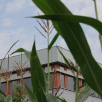 Projekttage 2014: Fotografie