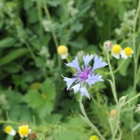 Projekttage 2014: Fotografie