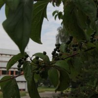 Projekttage 2014: Fotografie