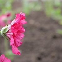 Projekttage 2014: Fotografie