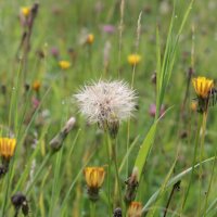 Projekttage 2014: Fotografie