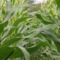 Projekttage 2014: Fotografie