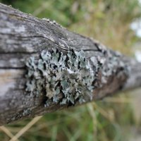 Projekttage 2014: Fotografie