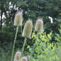 Projekttage 2014: Fotografie