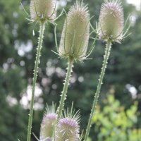 Projekttage 2014: Fotografie