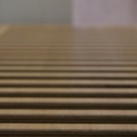 Projekttage 2014: Fotografie