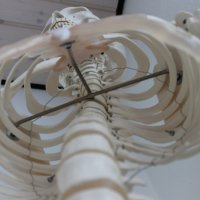 Projekttage 2014: Fotografie