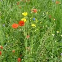 Projekttage 2014: Fotografie