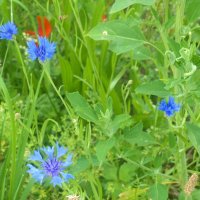 Projekttage 2014: Fotografie