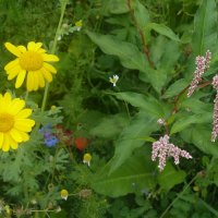 Projekttage 2014: Fotografie