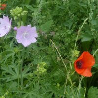 Projekttage 2014: Fotografie