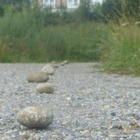 Projekttage 2014: Fotografie