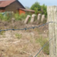 Projekttage 2014: Fotografie