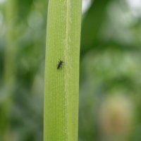 Projekttage 2014: Fotografie