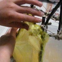 Projekttag 2013 - Klasse 5c erschafft architektonische Plastiken