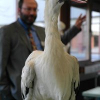 Informationsnachmittag für Schüler der Klasse 4