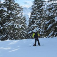 Klasse 7c im Skischullandheim 2014