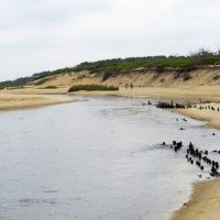 Neigungsfach Sport surft am Atlantik 2014