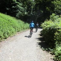 Ruderexkursion in der Mainaubucht