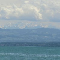 Ruderexkursion in der Mainaubucht