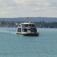 Ruderexkursion in der Mainaubucht