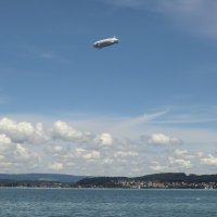 Ruderexkursion in der Mainaubucht