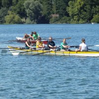 Ruderexkursion in der Mainaubucht