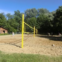 Ruderexkursion in der Mainaubucht