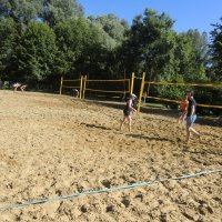 Ruderexkursion in der Mainaubucht